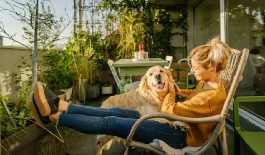 Sunny weather will continue through Saturday, although light dust may linger in the atmosphere as temperatures gradually rise. Photo credit: Unsplash