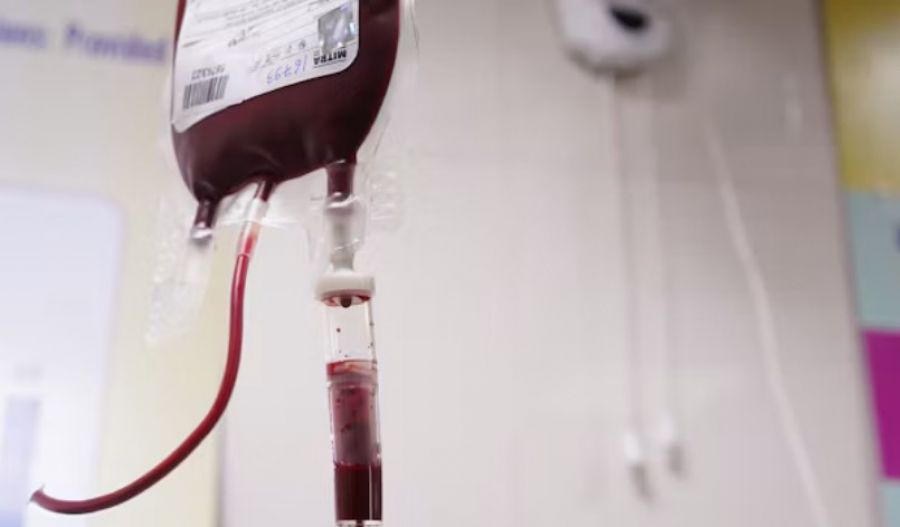 Thalassaemia patients face postponed or reduced transfusions as staff shortages leave some regional donation centres closed. Photo credit: Unsplash